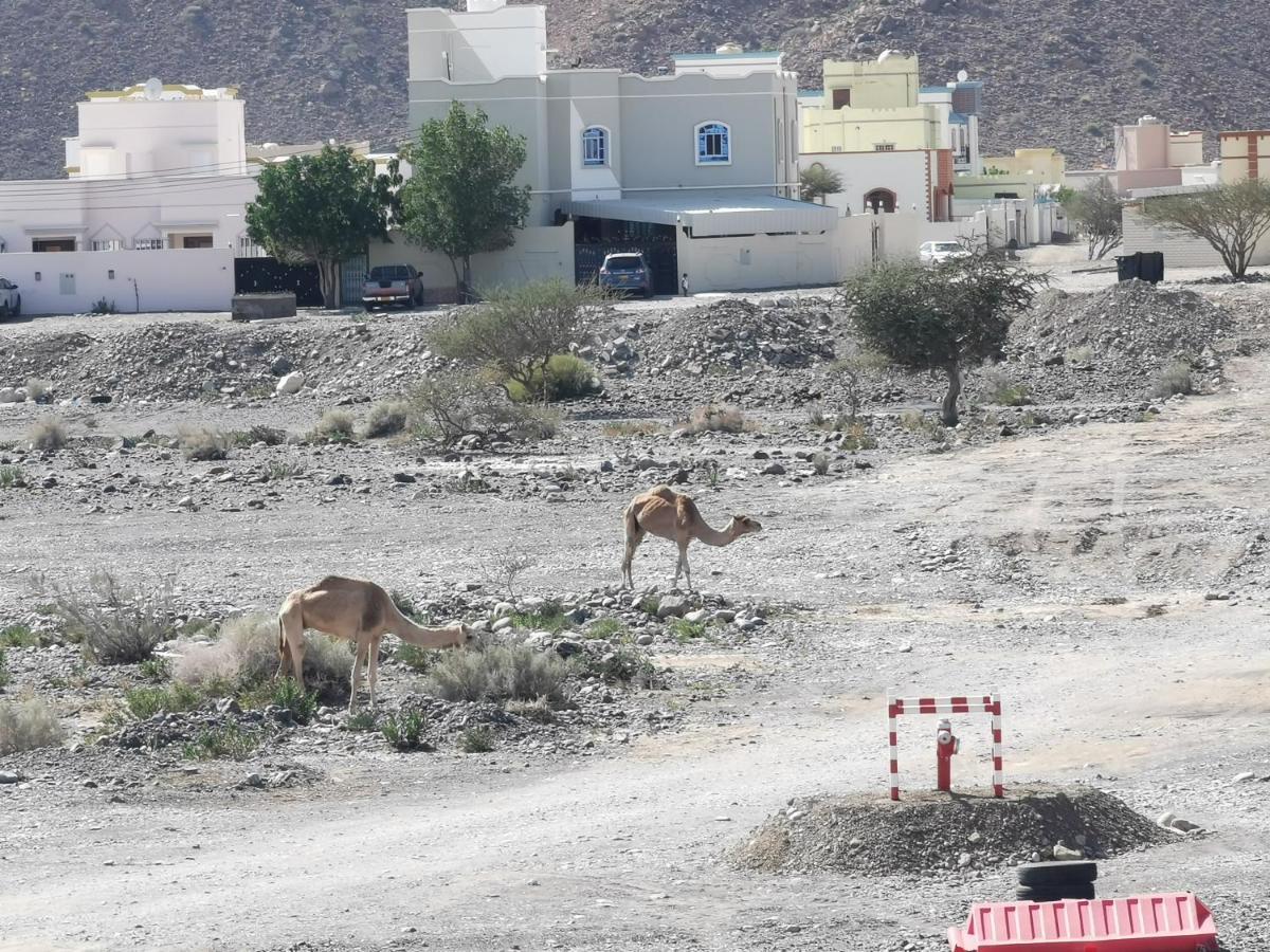 228Hostel Al Ḩamrāʼ Exteriör bild